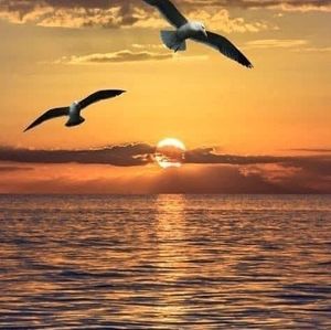 Meet your Posher, Isabel